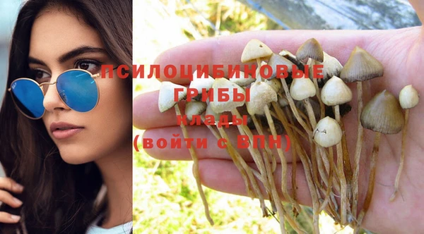 ПСИЛОЦИБИНОВЫЕ ГРИБЫ Абинск
